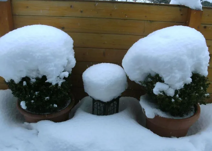 Terrace By The Zoo Morscheid-Riedenburg