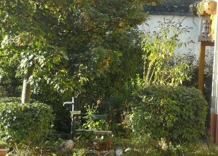 Daire Terrace By The Zoo Morscheid-Riedenburg